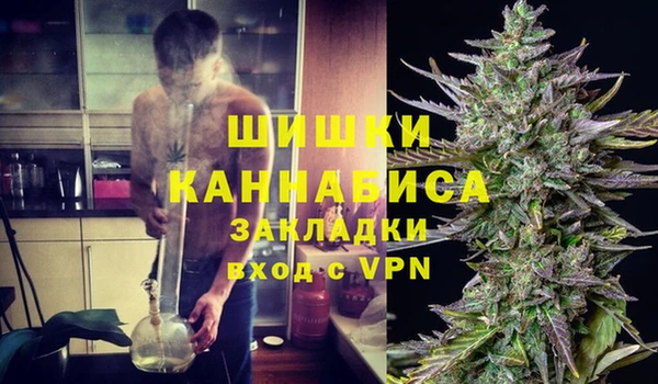 первитин Коряжма