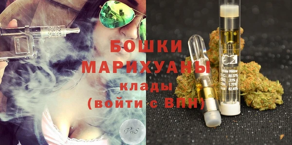 бошки Каменногорск