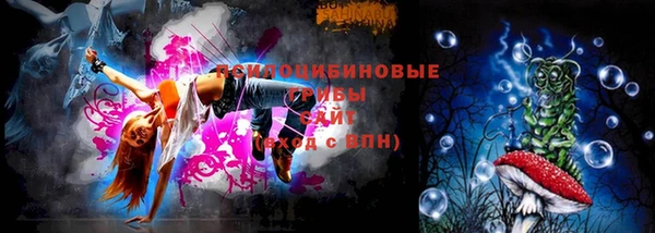 бутират Каменка