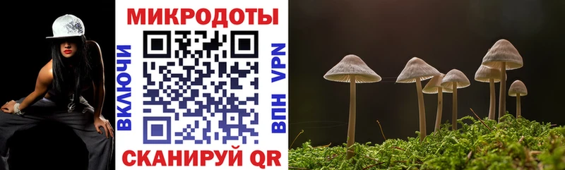 сколько стоит  Камызяк  Псилоцибиновые грибы мицелий 
